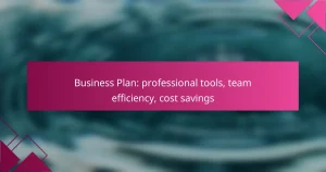 Business Plan: professional tools, team efficiency, cost savings