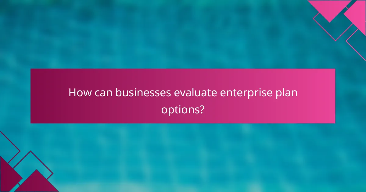 How can businesses evaluate enterprise plan options?