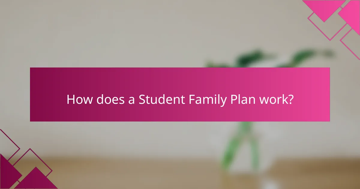 How does a Student Family Plan work?