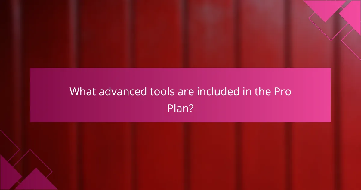 What advanced tools are included in the Pro Plan?