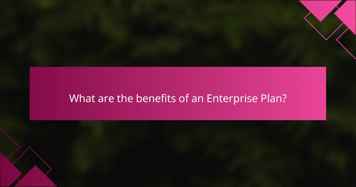 What are the benefits of an Enterprise Plan?