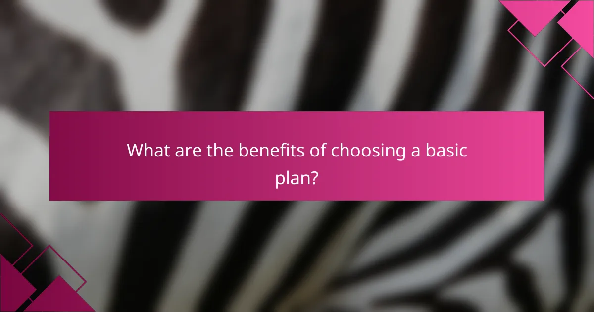 What are the benefits of choosing a basic plan?