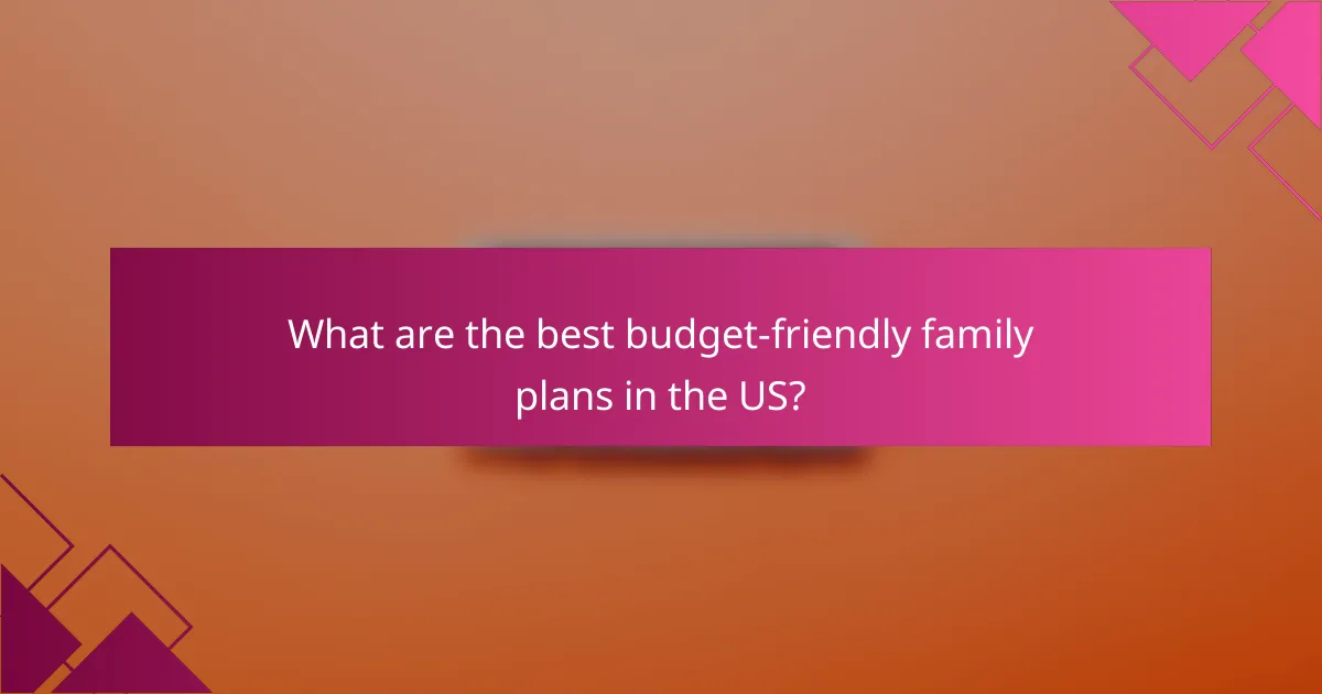 What are the best budget-friendly family plans in the US?