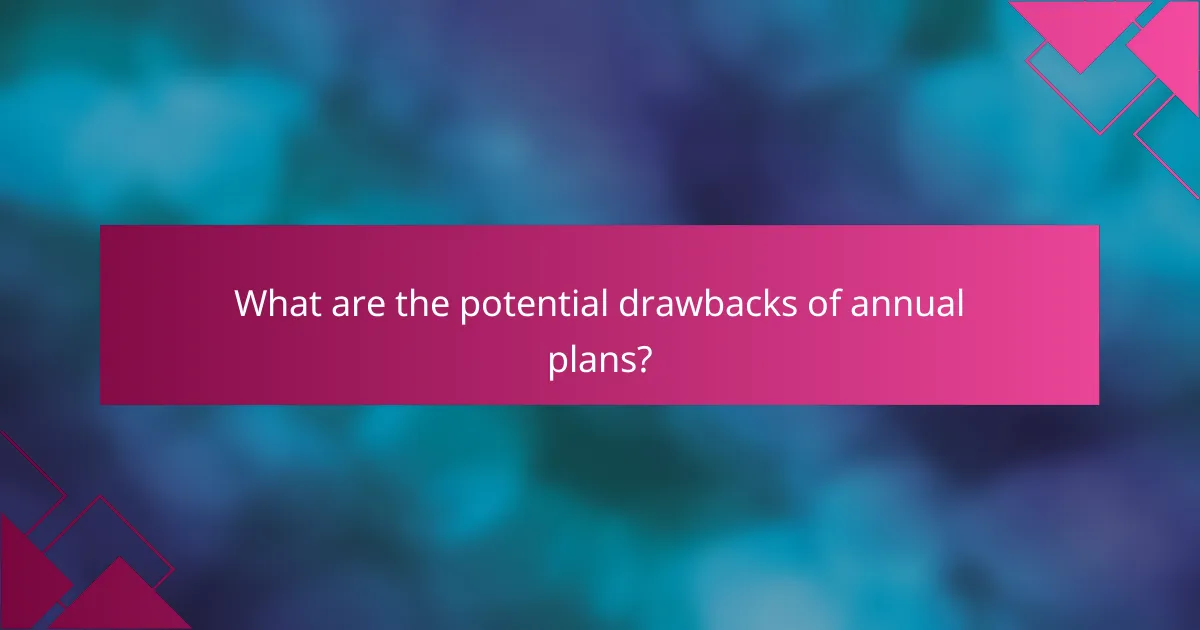 What are the potential drawbacks of annual plans?