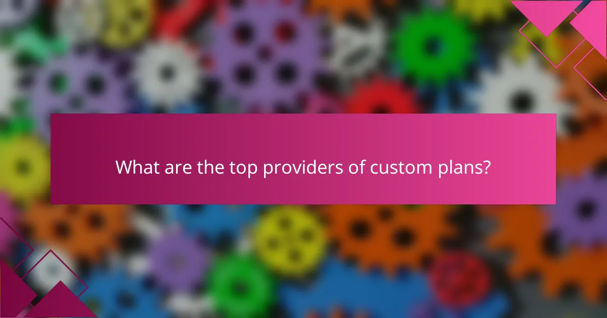 What are the top providers of custom plans?