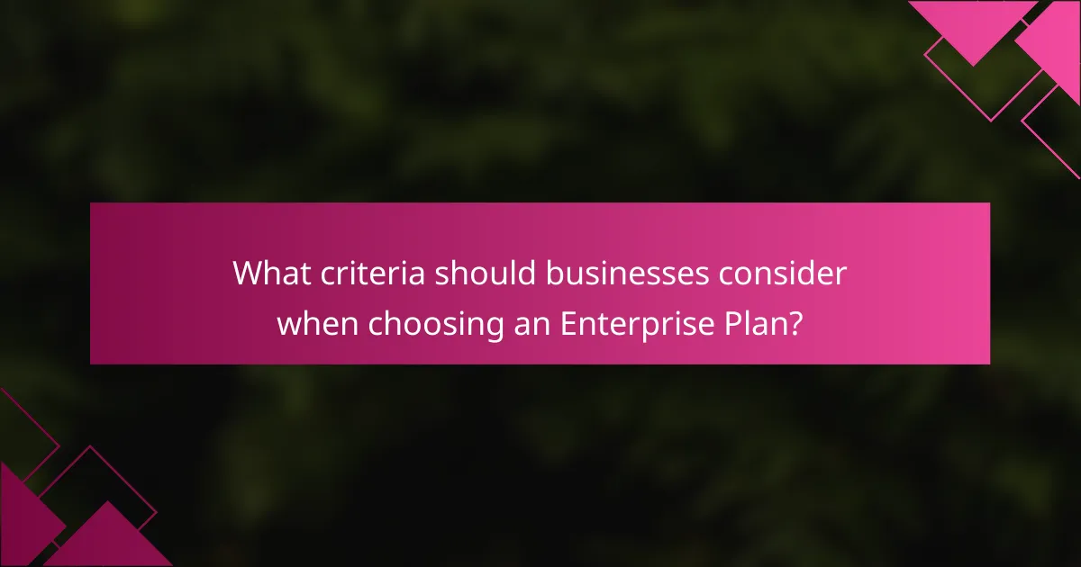 What criteria should businesses consider when choosing an Enterprise Plan?