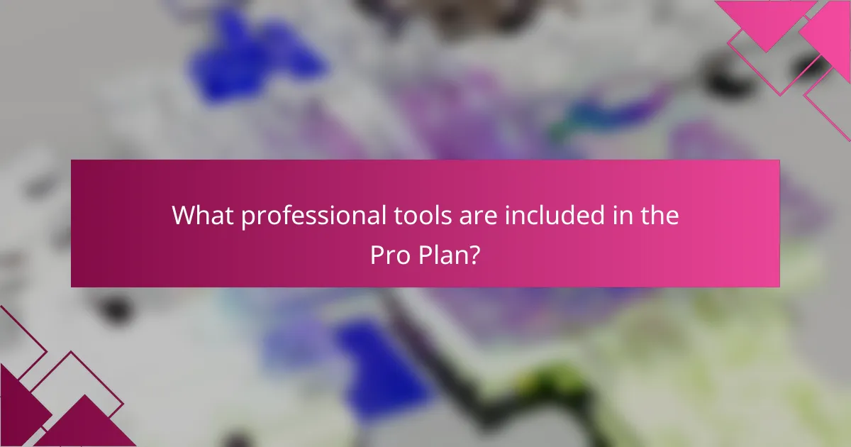 What professional tools are included in the Pro Plan?