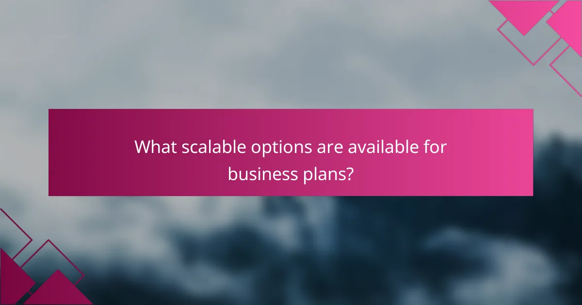 What scalable options are available for business plans?